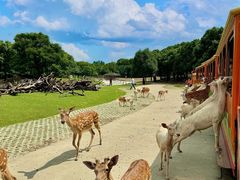 -常州淹城野生动物世界