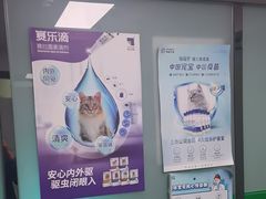 -半岛宠物医院24小时(科华中路店)