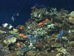 -福州罗源湾海洋世界旅游区