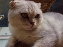 -MIKAKU(万达广场上海宝山店)