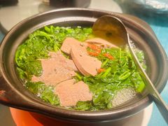 -煲煲好(朝阳门店)