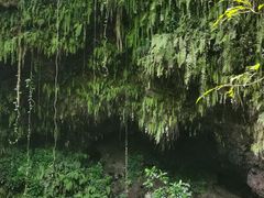 -海口火山口国家地质公园