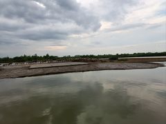 -宁波杭州湾国家湿地公园