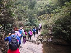 -东白山