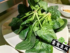 -海底捞火锅(新华联梦想城店)