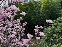 -径山寺