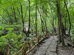 -香炉山国家森林公园