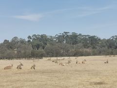 -威勒比开放式动物园