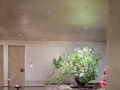 -隐溪茶馆(静安寺店)