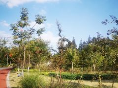 -上海长兴岛郊野公园