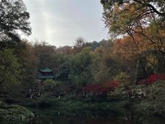 -岳麓山风景名胜区
