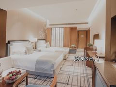 -南京国际会议大酒店