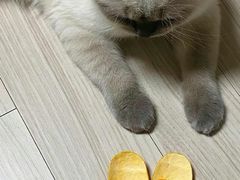 -HERMES(湖滨银泰in77店)