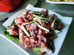 -墨脱石锅椰子鸡•香草鸭•东山羊(大东海店)