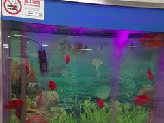 -雅悦齿科(顾村公园店)