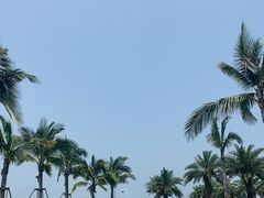 -玫瑰海岸文化旅游度假区