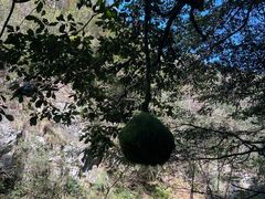 -夏霖九天银瀑风景区