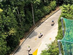 -圣淘沙天际线斜坡滑车