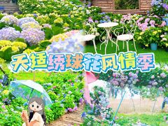 -天适樱花悠乐园