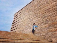 -盘龙城国家考古遗址公园