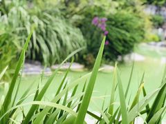 -上海吴淞炮台湾国家湿地公园
