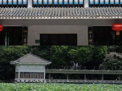 -荔湾湖公园