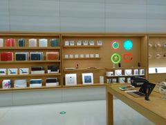 -Apple零售店(济南恒隆广场店)