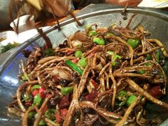 -金掌勺东北菜(格兰晴天店)