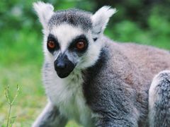 -云南野生动物园