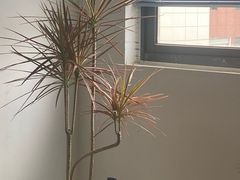 -金水养生(华新店)