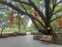 -东风公园