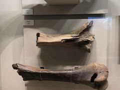 -齐齐哈尔市博物馆