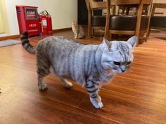 -H立方实景剧情密室(天河旗舰店)