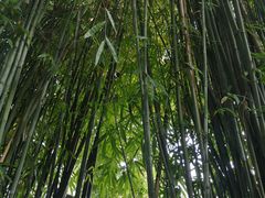 -三江森林温泉度假区