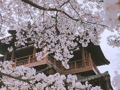 -西安青龙寺遗址景区
