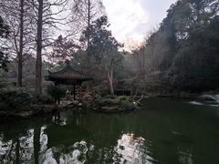-杭州植物园