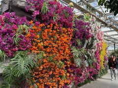 -南宫五洲植物乐园