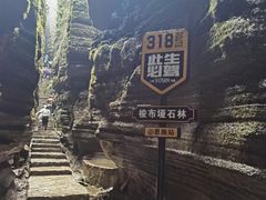 -梭布垭石林景区