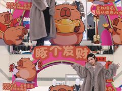 -盛京大奥莱(沈阳奥体店)