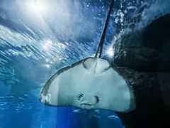 -福州罗源湾海洋世界旅游区