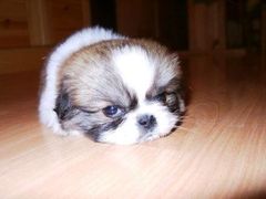 -中影火星湖影城(江门新会店)