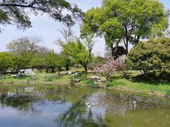 -无锡梅园公园