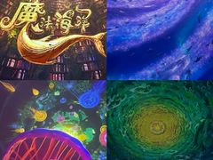 -海合安武汉极地海洋公园