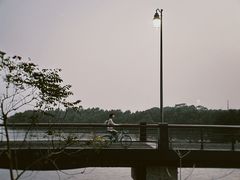 -深圳湾公园(南山区)