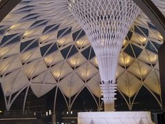 -中关村生命科学园