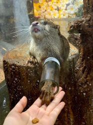 -Zoolung Zoolung动物主题公园(海信广场店)