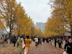 -辽宁大学(崇山校区)