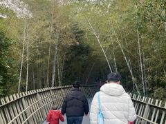 -福道