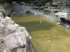 -竹泉村旅游度假区