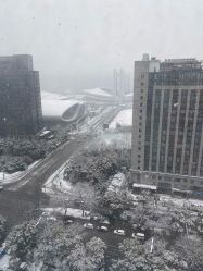 -杭州医学院附属妇儿医院
